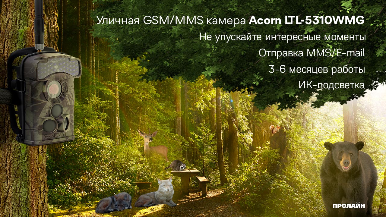 Уличная GSM/MMS камера Acorn LTL-5310WMG