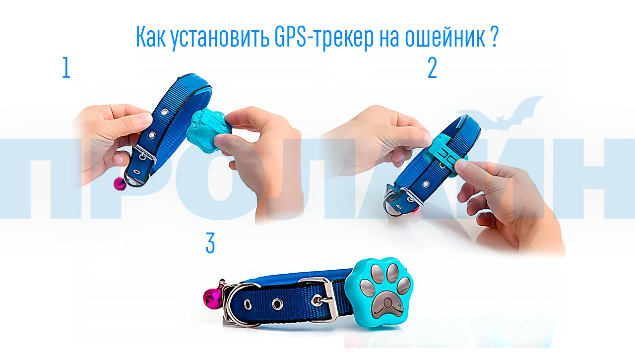 3G GPS-трекер для животных RF-V40