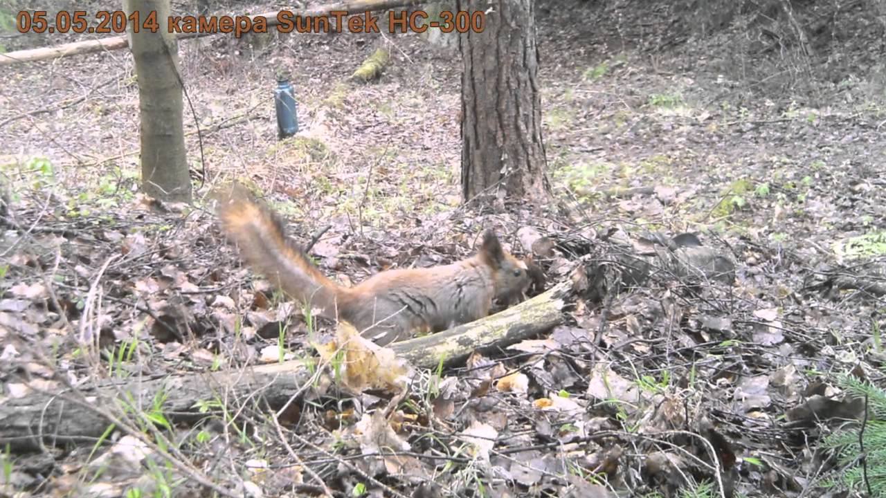 Уличная фотоловушка Suntek HC-300A Camo