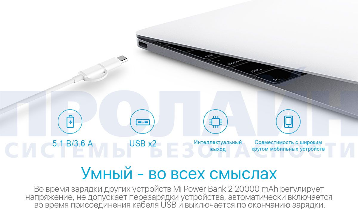 Xiaomi Mi Power Bank 2 20000