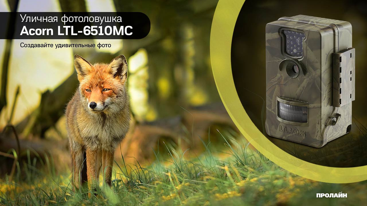 Уличная фотоловушка Acorn LTL-6510MC