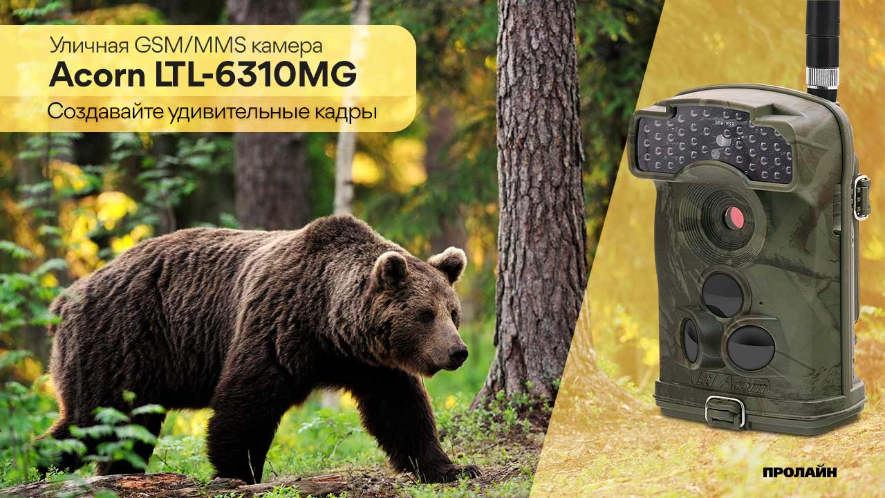 Уличная GSM/MMS камера Acorn LTL-6310MG