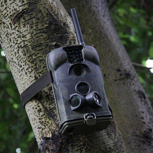 Acorn LTL-6310WMG-3G