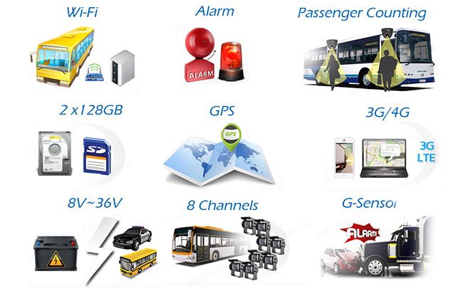 Proline PR-M6408G 2SD