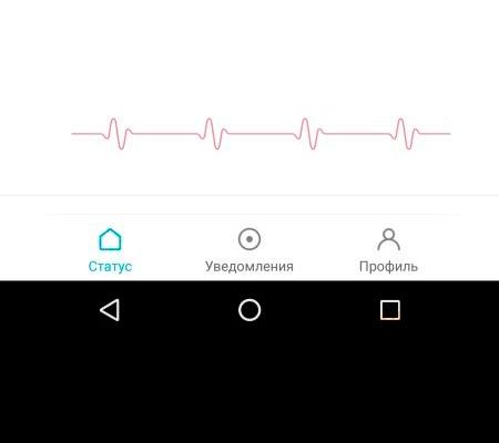 Активность в профиле приложения Mi Band 2
