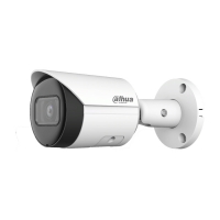 Dahua DH-IPC-HFW2230SP-S-0360B 3.6mm