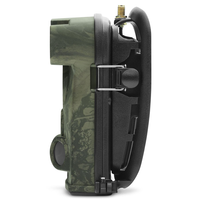 acorn-ltl-5310mg-56226