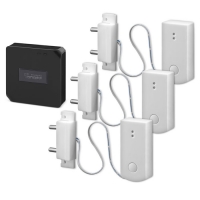 Комплект Wi-Fi сигнализации утечки воды