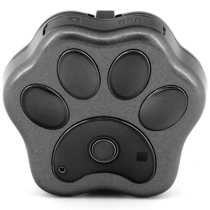 RF-V32