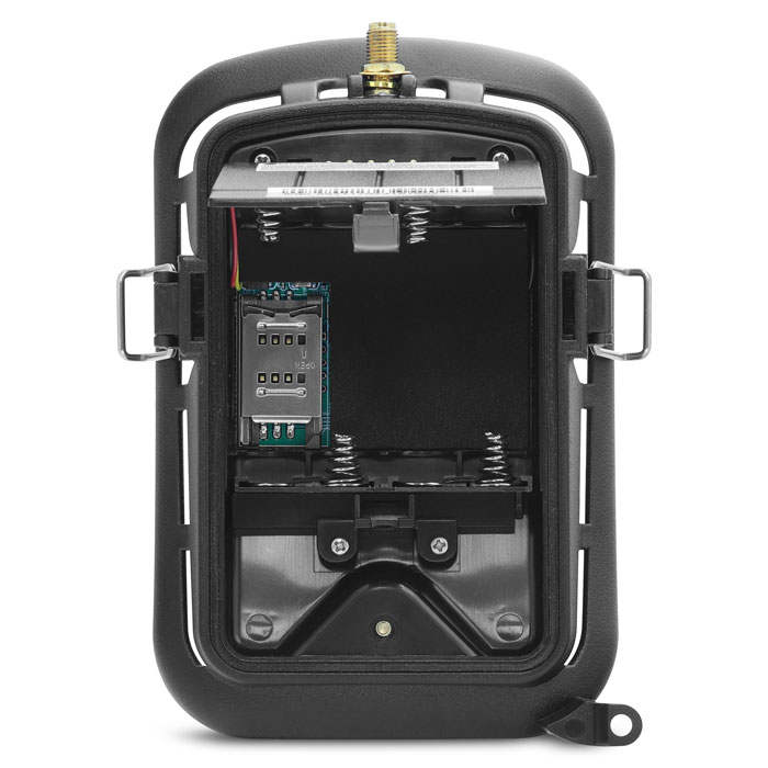 acorn-ltl-5310mg-56226