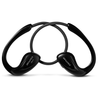 AWEI A880BL Black