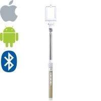 DISPHO WS-SQB802 (gold)