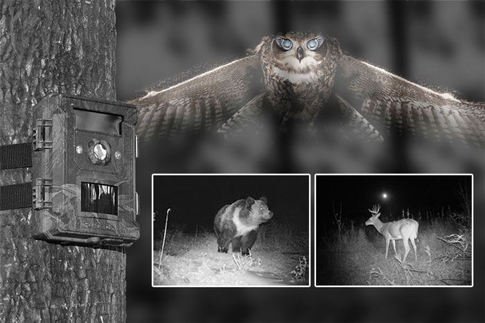 bestok-m660-gp-56915