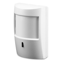 Рапид, вариант 2