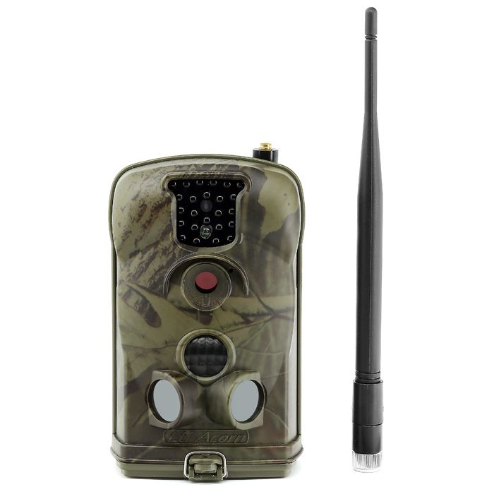 acorn-ltl-6210mg-56222