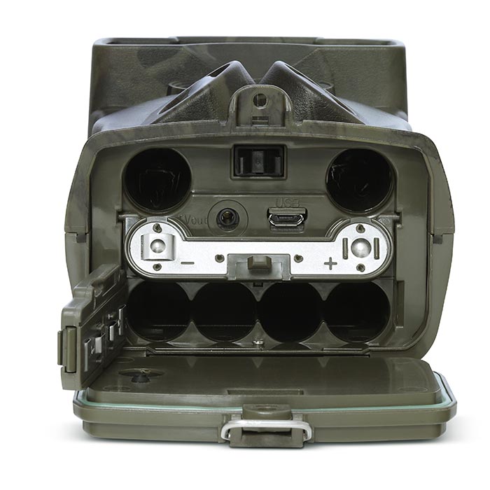 acorn-ltl-6310mg-56308