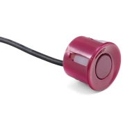 Proline PR-P55