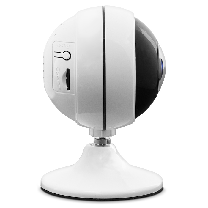 proline-ip-h3065fe-61319